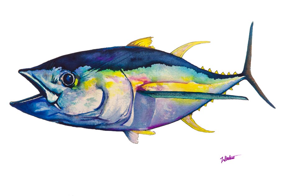 Technicolor Tuna Print (Limited Edition of 100)