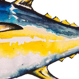 Yellowfin Tuna Print (Limited Edition of 100)