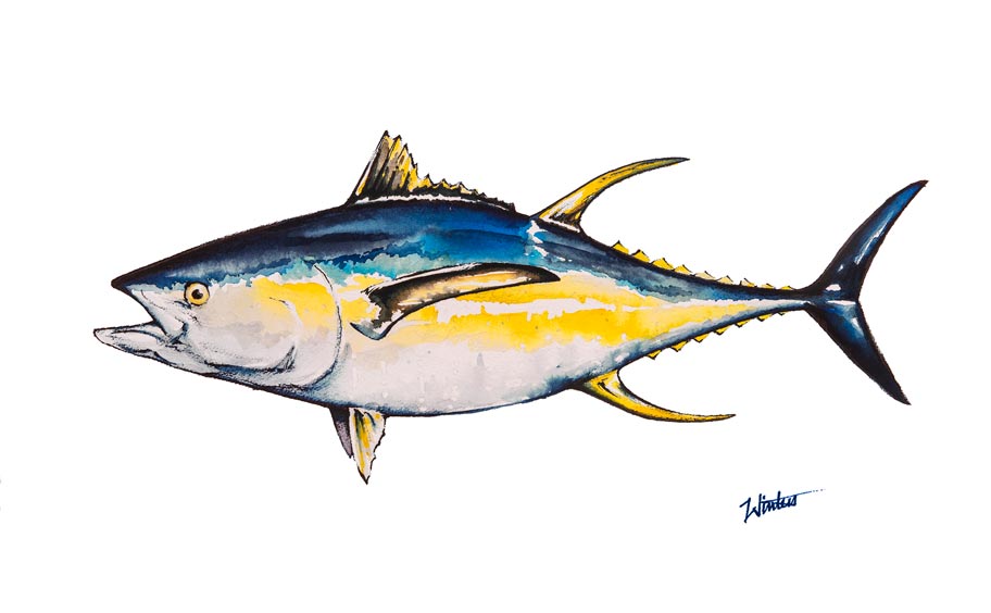 Limited Edition Yellowfin Tuna Masterwork Canvas